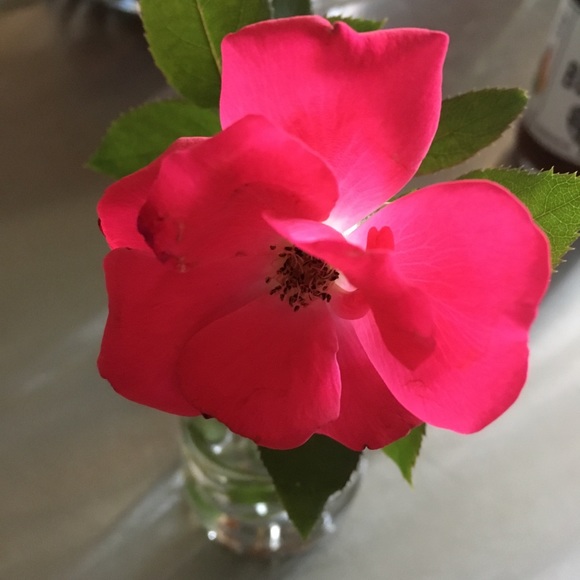 Meet your Posher, Rebecca - Picture 4 of 8